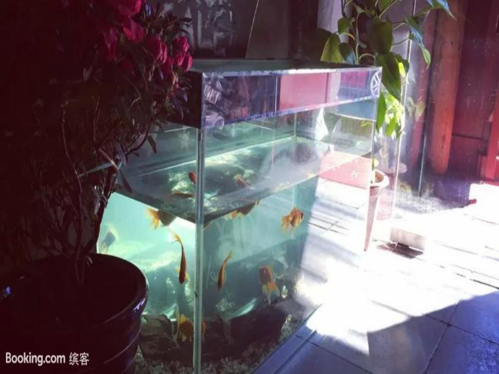 Three Legged Frog Hostel 베이징 외부 사진