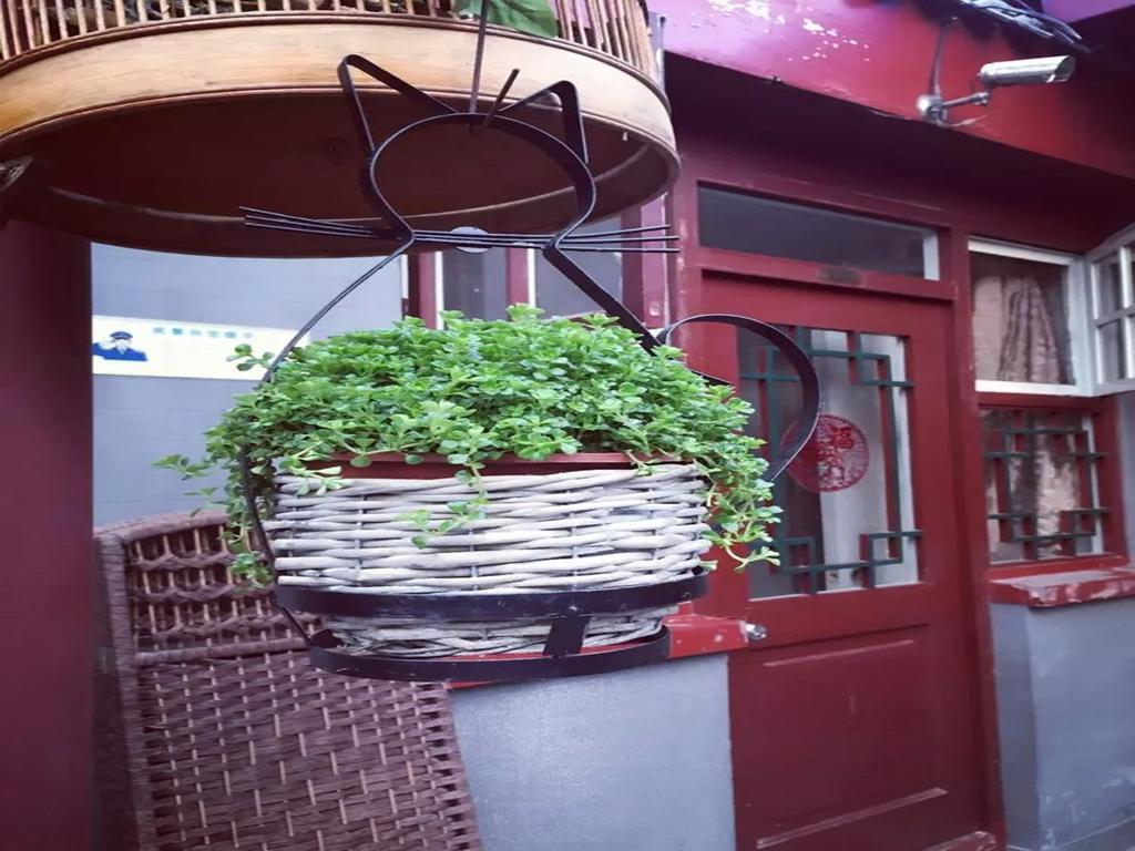 Three Legged Frog Hostel 베이징 외부 사진